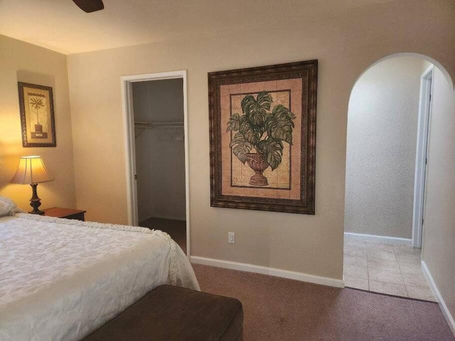 Southwestern Charm - Minutes From Everything 3/2 Sierra Vista Exteriör bild